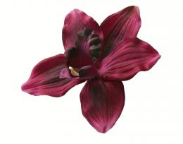 Orchidej, 12ks - zvětšit obrázek