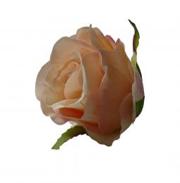 Růže poupě, 12ks - zvětšit obrázek