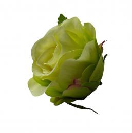 Růže poupě, 12ks - zvětšit obrázek
