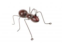 Mravenec - zvětšit obrázek